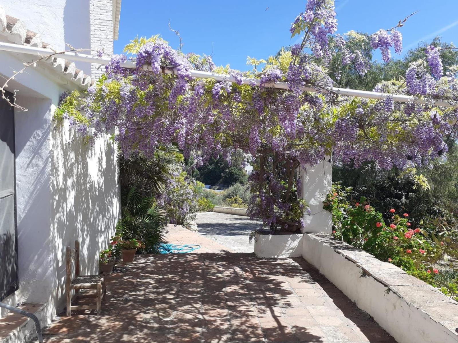 Cortijo Nerja Artist Paradise Exterior foto