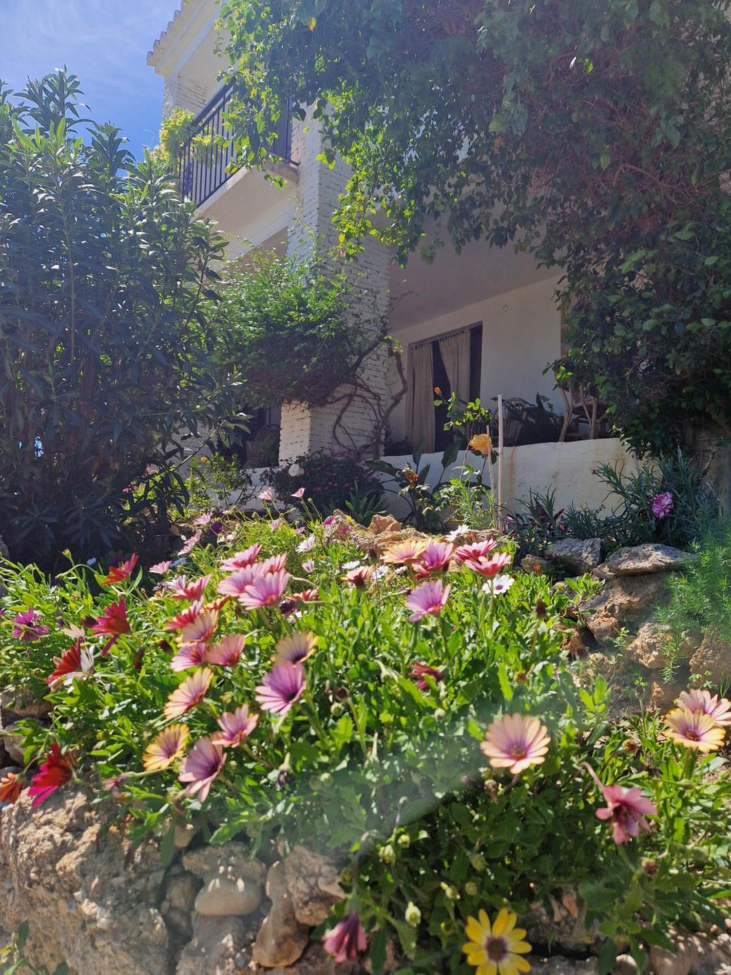 Cortijo Nerja Artist Paradise Exterior foto